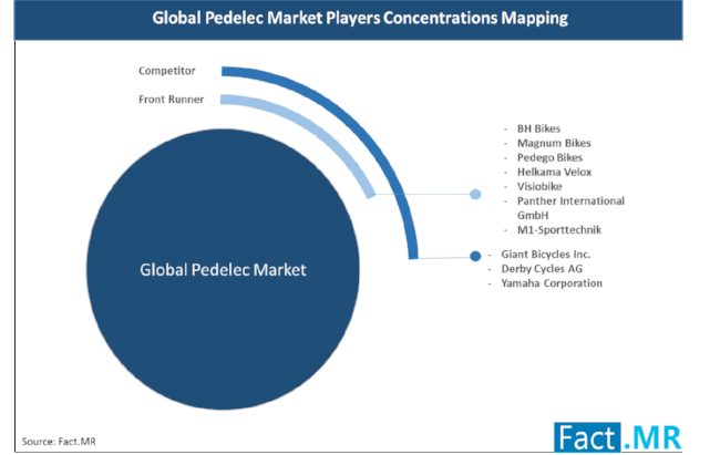 pedelec-marketplayers-concentrations-mapping[1]